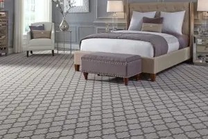Bold_Carpet_600x400-1-300x200